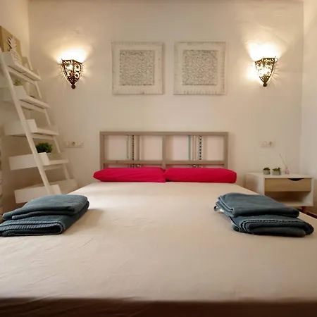 Livingtarifa Drago *